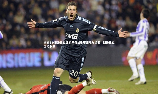 南宫28-斯洛伐克国家队备战重要国际友谊赛，斯洛伐克乙组联赛