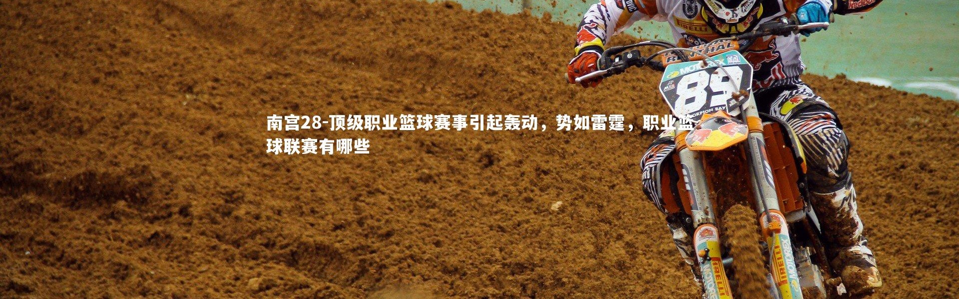 南宫28-顶级职业篮球赛事引起轰动，势如雷霆，职业篮球联赛有哪些