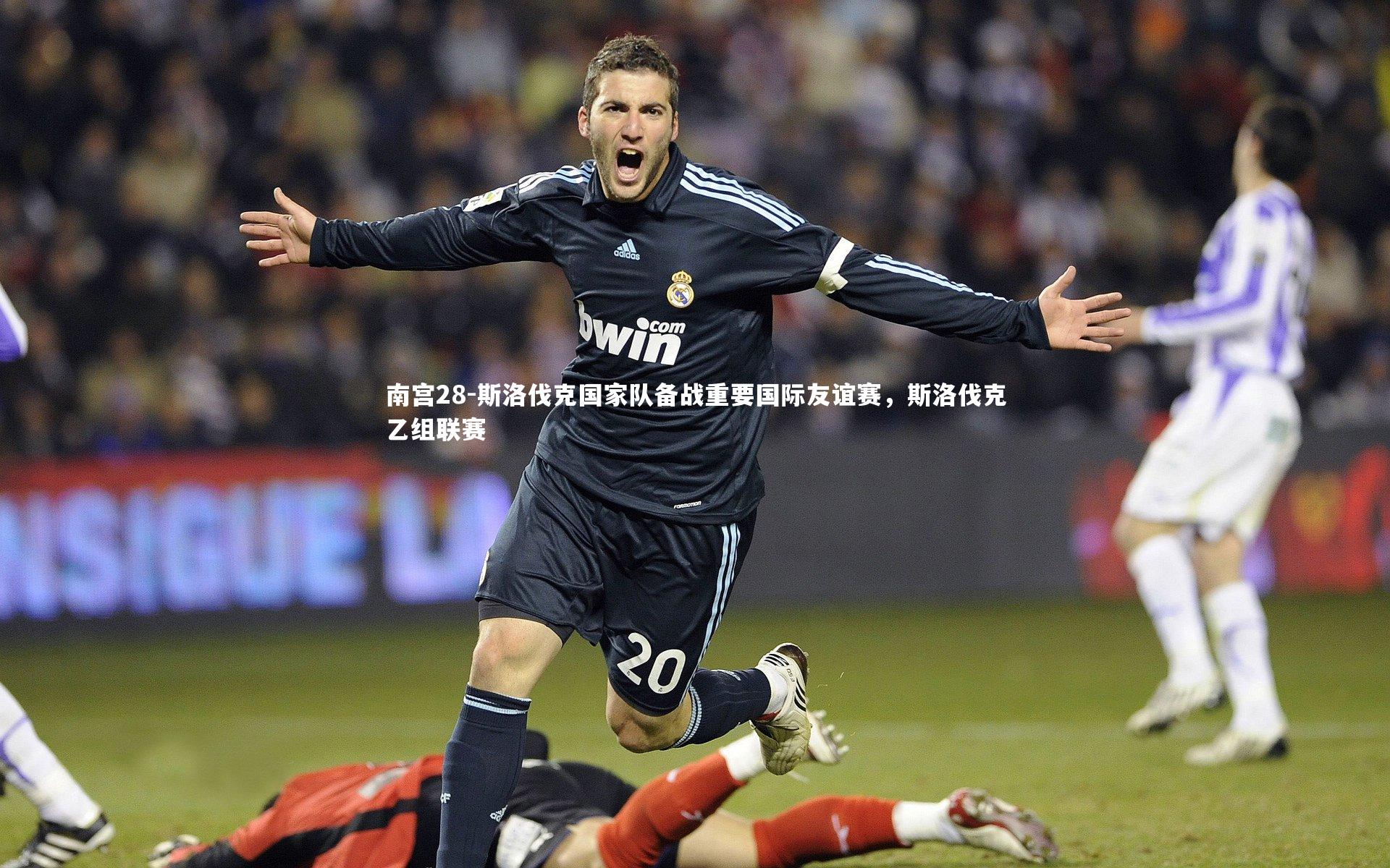 斯洛伐克国家队备战重要国际友谊赛,斯洛伐克乙组联赛