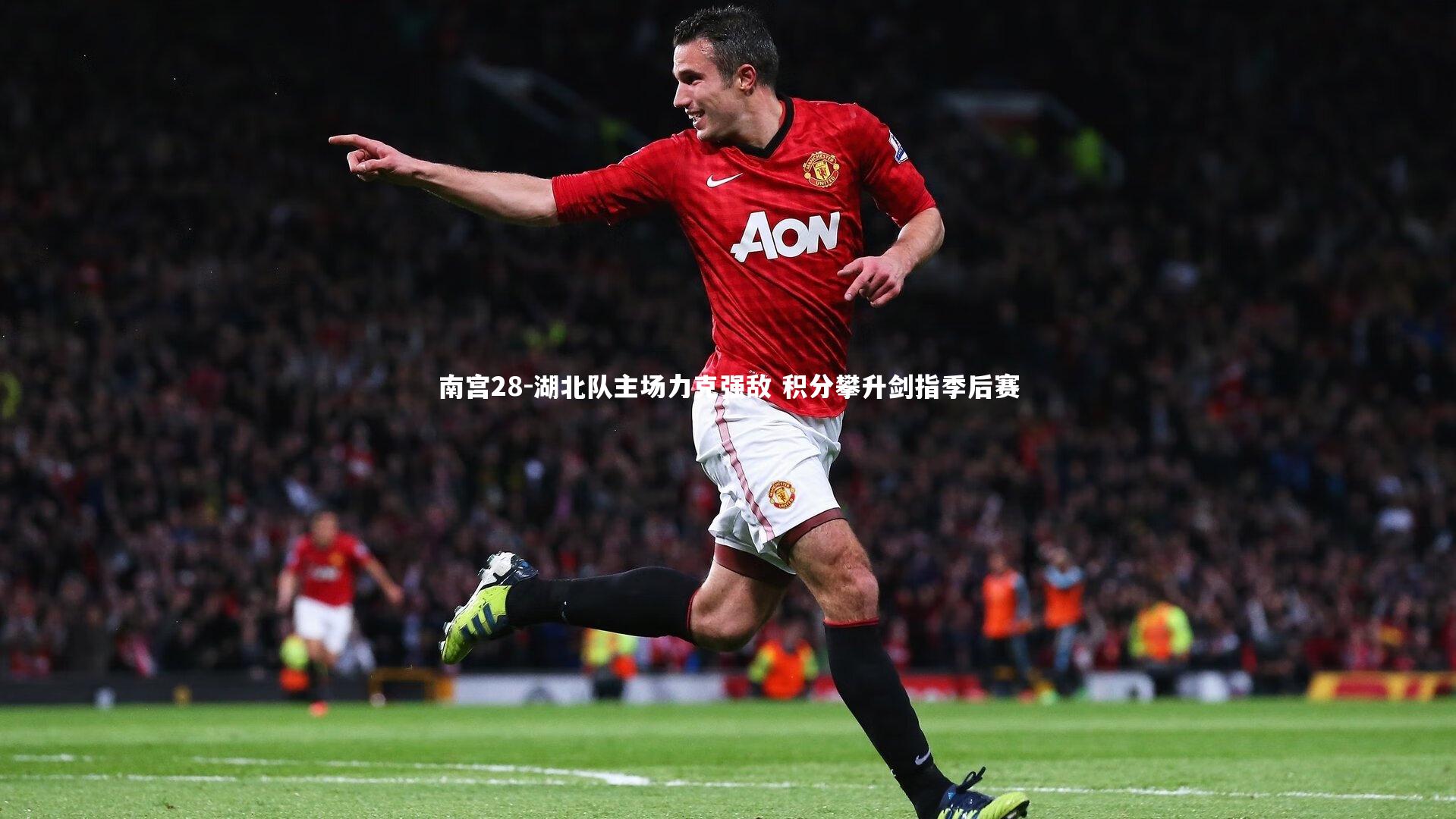 湖北队主场力克强敌 积分攀升剑指季后赛